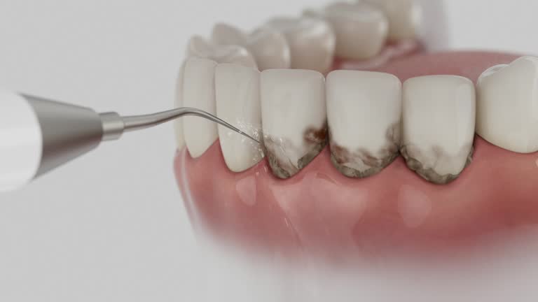 Reliable Dental contractor in Three Rivers, MI by Dentist Open Now